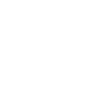 公式X