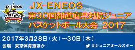 12.ジュニアオールスター